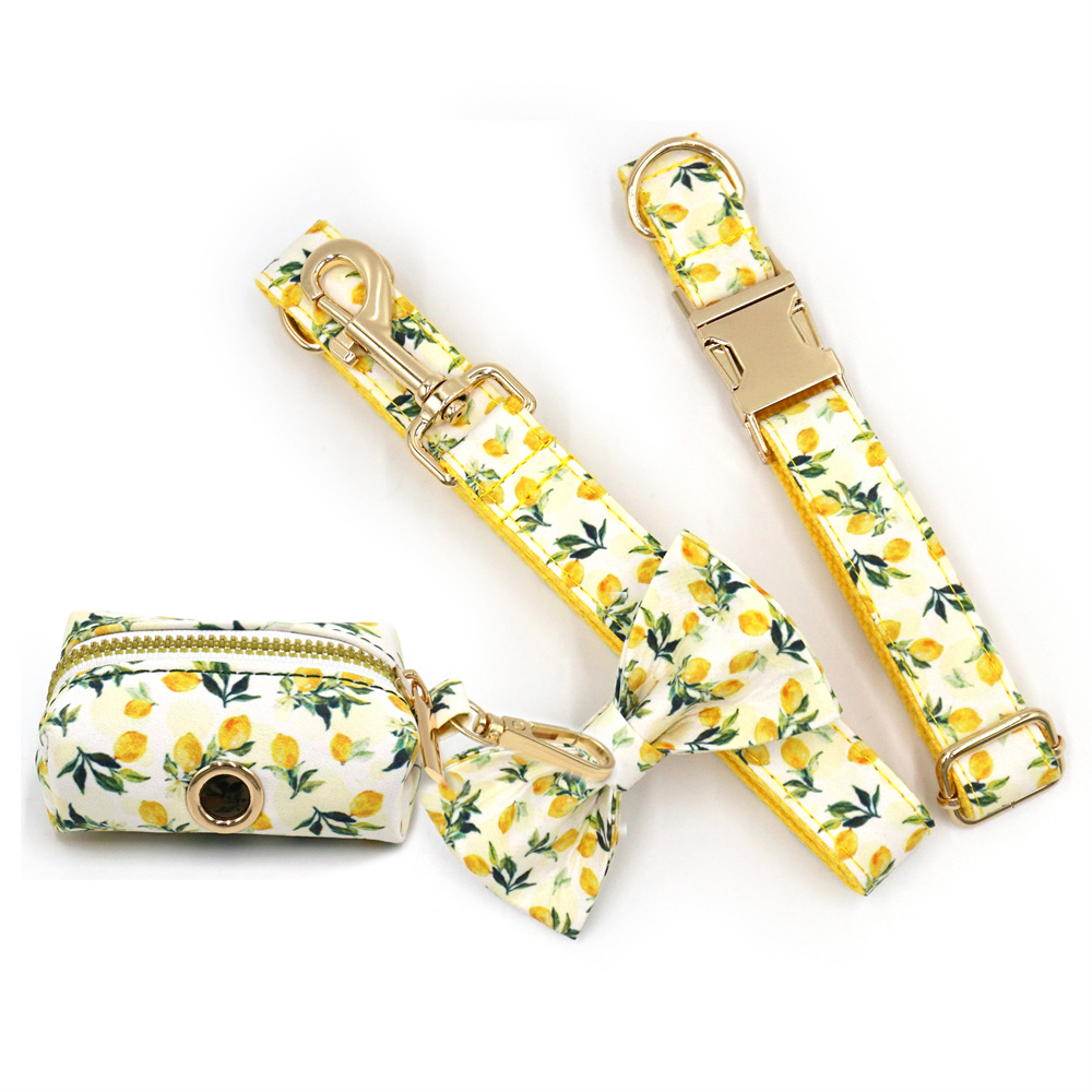Personalized Pet Collar for Ca - Luxury Bags Medium Size 리뷰 및 가격