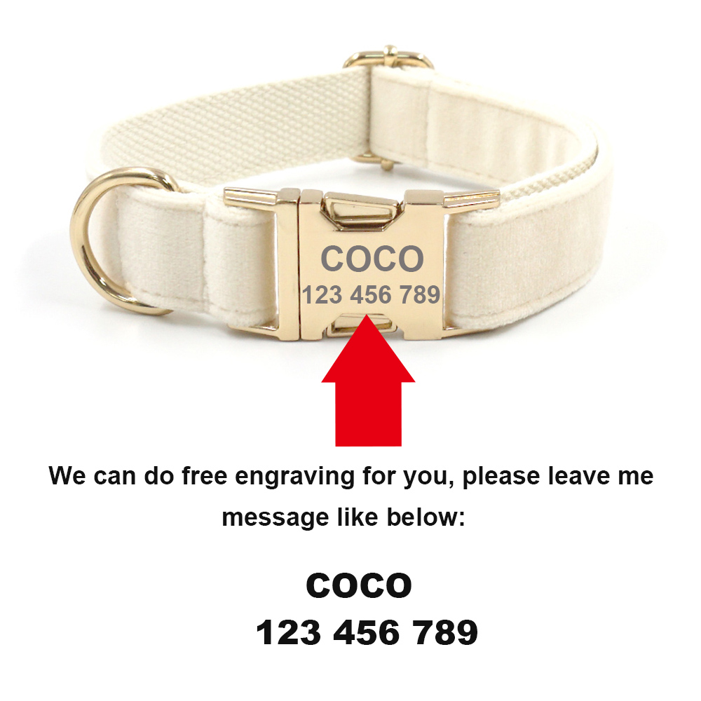 Personalized Pet Collar for Ca - Luxury Bags Medium Size 리뷰 및 가격